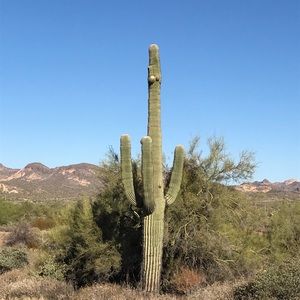 Meet your Posher, Frances